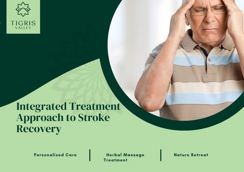 Integrated Treatment Approach to Stroke Recovery