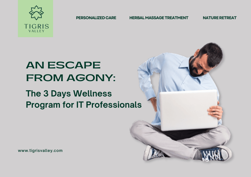 An Escape from Agony: The 3 Days wellness program for IT professionals