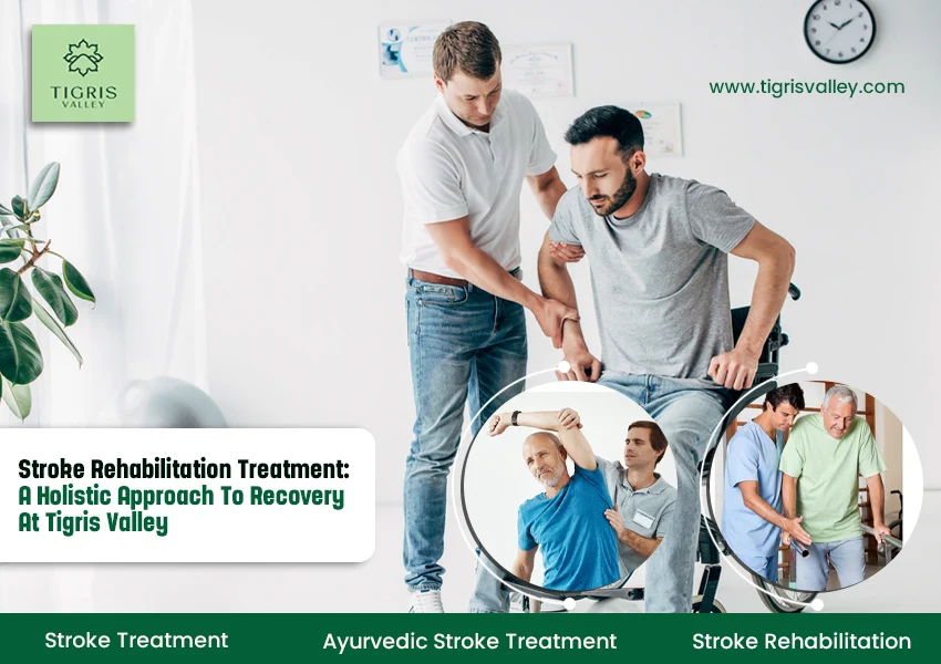 Stroke Rehabilitation Treatment: A Holistic Approach to Recovery at Tigris Valley