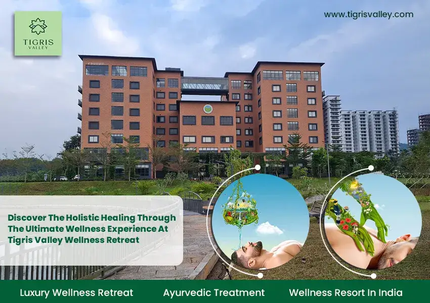 Discover the Holistic Healing Through the Ultimate Wellness Experience at Tigris Valley Wellness Retreat