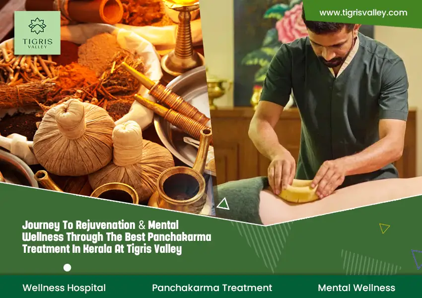 Journey to Rejuvenation & Mental Wellness Through The Best Panchakarma Treatment at Tigris Valley