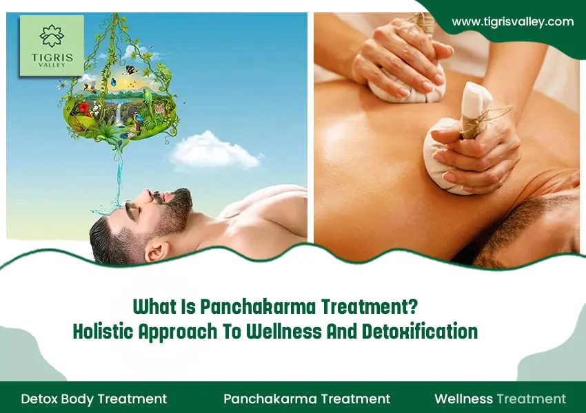 What is Panchakarma Treatment? Holistic Approach to Wellness and Detoxification