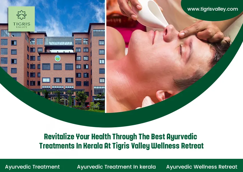 Revitalize Your Health Through The Best Ayurvedic Treatments in Kerala At Tigris Valley Wellness Retreat