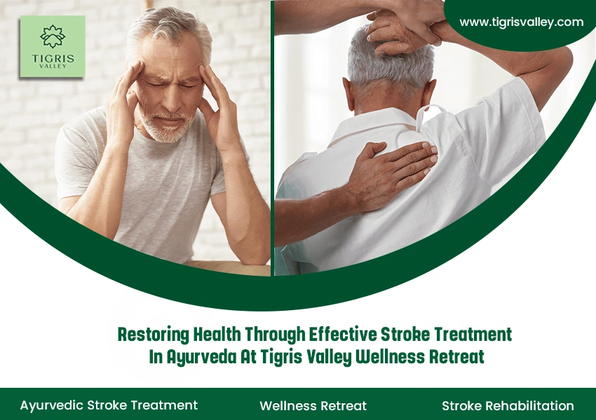 Restoring Health through Effective Stroke Treatment in Ayurveda at Tigris Valley Wellness Retreat