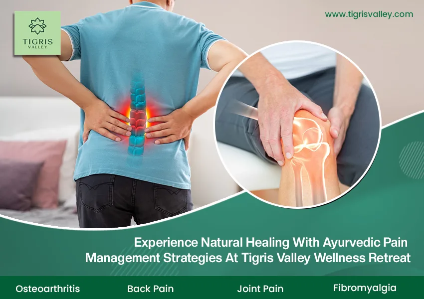 Experience Natural Healing with Ayurvedic Pain Management Strategies at Tigris Valley Wellness Retreat