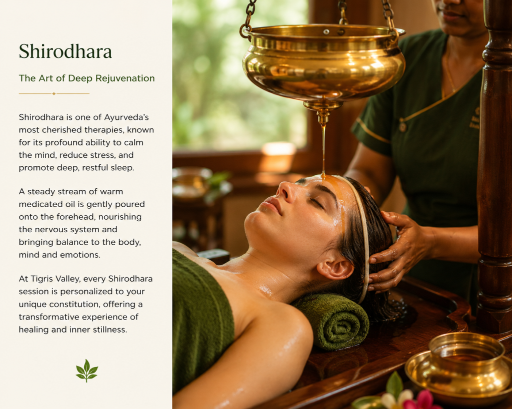 Shirodhara Ayurveda therapy at Tigris Valley Kerala — a favourite treatment among Russian wellness tourists