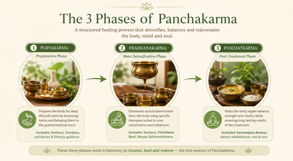 Infographic showing three phases of Panchakarma – Purvakarma preparation, Pradhanakarma main detox, Paschatkarma rejuvenation