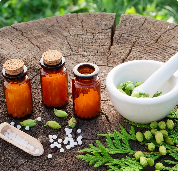 Homeopathy medicines for natural healing and long-term wellness at Tigris Valley