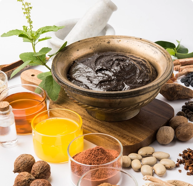 Siddha medicine for holistic health and natural healing in Kerala