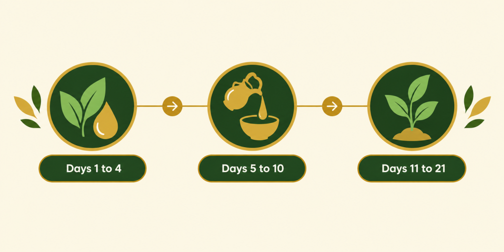 Three-stage Ayurvedic treatment timeline showing Days 1–4 with leaves and a droplet, Days 5–10 with an oil vessel, and Days 11–21 with a sprouting plant in green and gold.